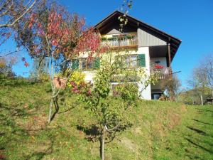 una casa en la cima de una colina con un árbol en Obstbau und Gästezimmer Stani, en Kitzeck im Sausal