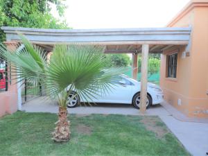 a car parked under a garage with a palm tree at Jazmin de Lluvia in Vistalba