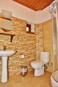 a bathroom with a toilet and a sink at Iaspis Guesthouse in Sidhirokhórion