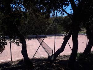 Tennis and/or squash facilities at Las Casitas de los Cano or nearby