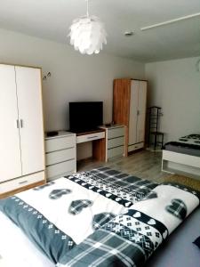 1 dormitorio con 1 cama grande y TV en TOM13, en Köngen