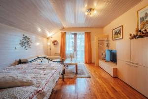 TV a/nebo společenská místnost v ubytování Apartma BOROVC