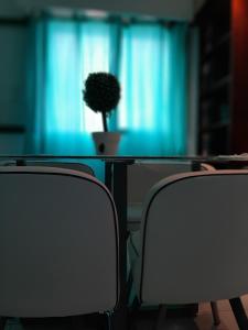 uma mesa de vidro com duas cadeiras e um vaso de plantas em TODO EL CENTRO A TUS PIES em Formosa