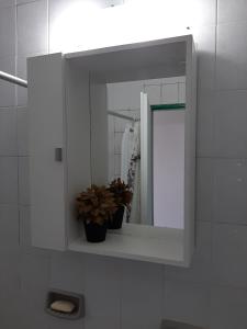 La salle de bains est pourvue d'un miroir et d'une plante en pot. dans l'établissement TODO EL CENTRO A TUS PIES, à Formosa