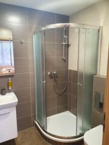 Kúpeľňa v ubytovaní Apartments 461