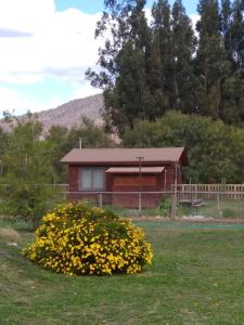 a house with a bush with yellow flowers in front of it at Cabaña Amor in Isla de Maipo