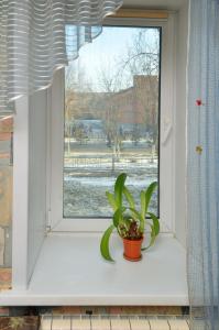 Billede fra billedgalleriet på 1 комнатные апартаменты на Садуакасова 24 i Kokshetau