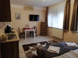 Televízia a/alebo spoločenská miestnosť v ubytovaní Tulip Family Apartments