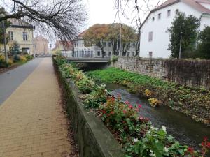 Vonkajšia záhrada v ubytovaní Tulip Family Apartments