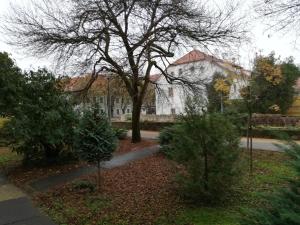Vonkajšia záhrada v ubytovaní Tulip Family Apartments