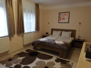 um quarto com uma cama e um tapete em Tulip Family Apartments em Eger