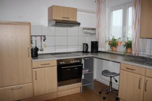 Kuchyň nebo kuchyňský kout v ubytování Haus Ziegler