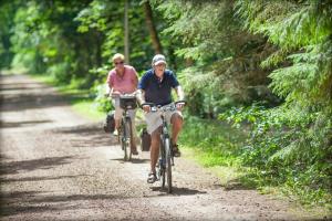 Afbeelding uit fotogalerij van RCN Vakantiepark de Roggeberg in Appelscha