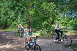 Hosté ubytování RCN Vakantiepark de Roggeberg