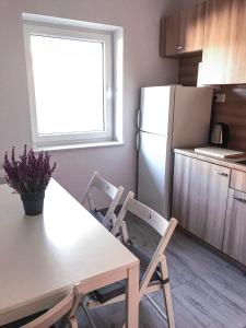 uma cozinha com uma mesa, 2 cadeiras e um frigorífico em Lawendowy Hostel Wrocław em Breslávia