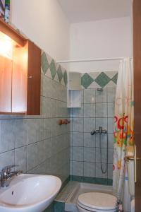 een badkamer met een wastafel, een toilet en een douche bij Apartment Suzy in Vantačići