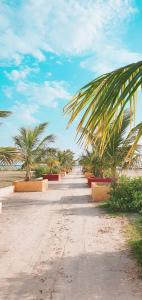 a dirt road with palm trees on a beach at Campement Hakuna Lodge in Mar Lodj