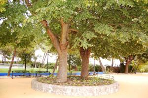 Zahrada ubytování Hotel El Cortijo de Daimiel