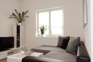 salon z kanapą i telewizorem w obiekcie LaVaTe w mieście Kappel-Grafenhausen