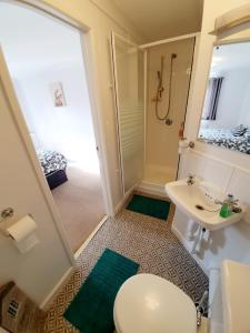 a small bathroom with a toilet and a sink at Chelmsford Town Centre Apartments With Car Parking in Chelmsford