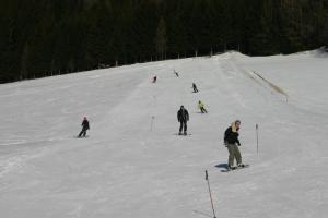 Skijanje kod smeštaja na farmi ili u blizini