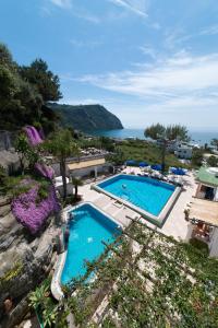 an overhead view of a pool with the ocean in the background at Hotel Villa Bianca in Ischia