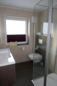 a bathroom with a toilet and a sink and a window at Apartment Hochkönigblick Pilzegg in Embach