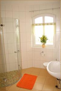 ein Bad mit einer Dusche, einem WC und einem Waschbecken in der Unterkunft Landhotel zum Honigdieb in Ribnitz-Damgarten