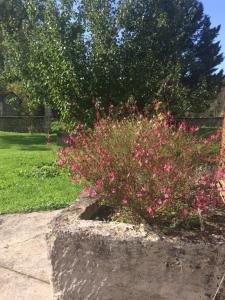 a bush of pink flowers in a concrete planter at Gîte Rouge Calme et Nature in Allas-Bocage