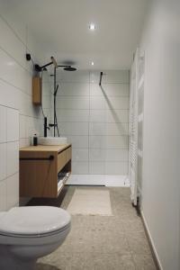 een badkamer met een toilet, een wastafel en een douche bij Le Parvis - Résidence Le Cercle in Marche-en-Famenne