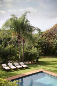 uma piscina com duas espreguiçadeiras e uma palmeira em Teremok Lodge & Spa em Durban