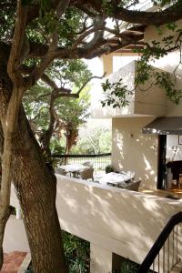 a tree in front of a building with a table at Teremok Lodge & Spa in Durban