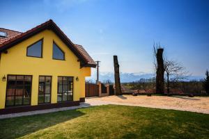 a yellow house with mountains in the background at Conacul lui Radu in Făgăraş