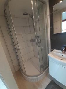 a bathroom with a shower and a sink at Studio Apartment in Alsdorf