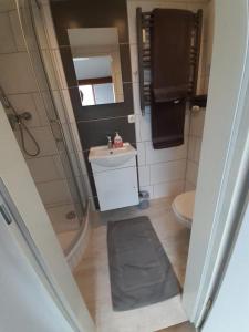 W łazience znajduje się prysznic, umywalka i toaleta. w obiekcie Studio Apartment w mieście Alsdorf