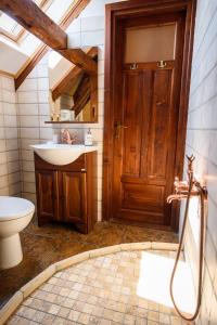 a bathroom with a sink and a toilet at Conacul lui Radu in Făgăraş