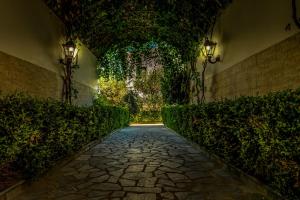 A garden outside Chandris Apartments