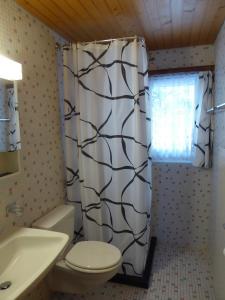 a bathroom with a toilet and a shower curtain at Haus Stadel Wohnung Nr. 36 in Albinen