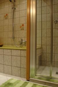 a shower in a bathroom with a glass door at Maria Aichholzer in Sankt Jakob im Rosental