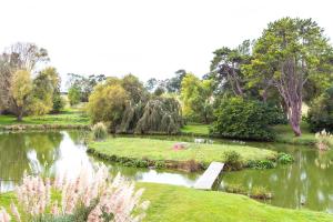 a park with a pond with a bench and flowers at SUITE Souplex Château Côte de Nacre in Ver-sur-Mer
