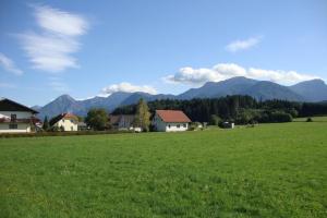 un campo verde con casas y montañas en el fondo en Maria Aichholzer, en Sankt Jakob im Rosental