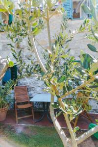 Zahrada ubytování Holiday home Katarina Omiš
