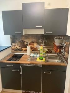 a kitchen with a sink and a counter top at Apartment Altstadt in Pirna