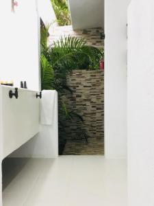 an open door into a bathroom with plants at Hacienda La Rusa in Barra de Potosi