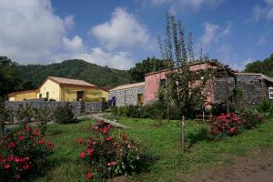 un jardín con flores frente a un edificio en Viola Nel Parco, en SantʼAlfio