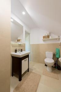 ein Badezimmer mit einem WC, einem Waschbecken und einem Spiegel in der Unterkunft PENSIUNEA SURYA in Ludeştii de Jos