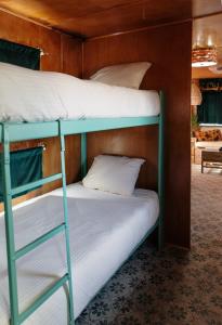 Gallery image of Hotel Luna Mystica in Taos