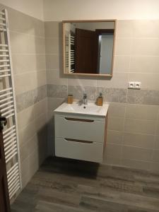 Koupelna v ubytování Portus Apartment