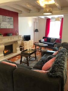 ein Wohnzimmer mit Sofas und Kamin in der Unterkunft la Maison de Lilly in Pierry