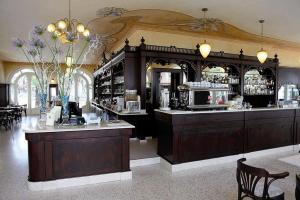 Lounge nebo bar v ubytování Hotel Lugana Parco Al Lago